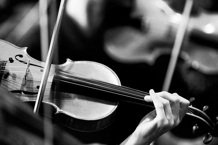 Atelier Anima: Singing Strings