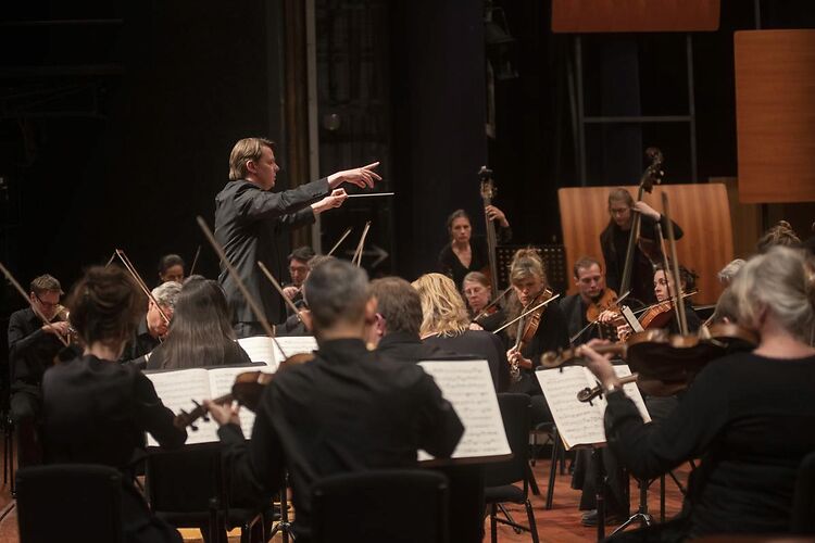 Anima Insight: de geboorte van de symfonie