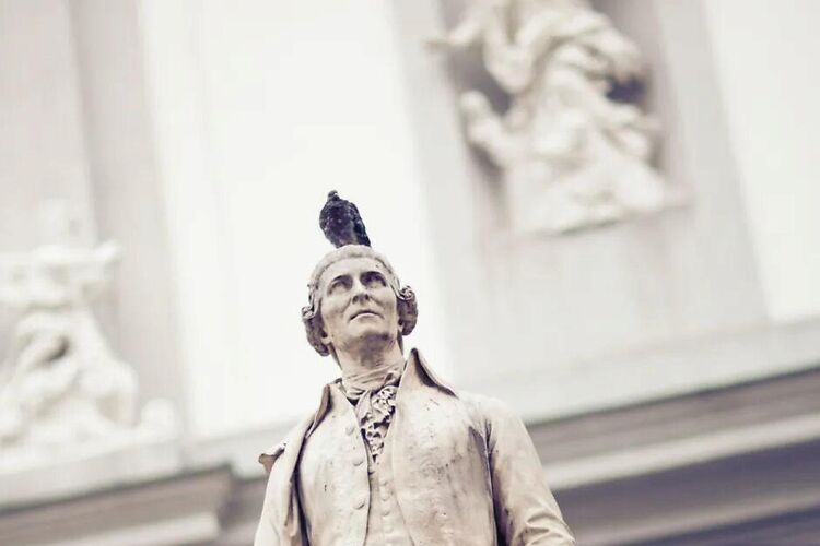 Haydn in zakformaat