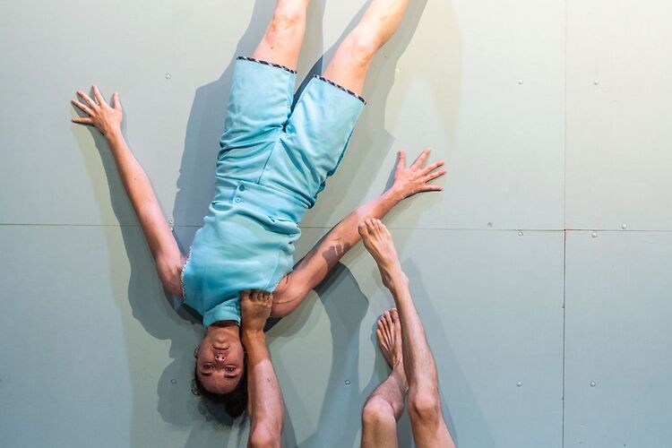 Alexander Vantournhout wint belangrijke cultuurprijs