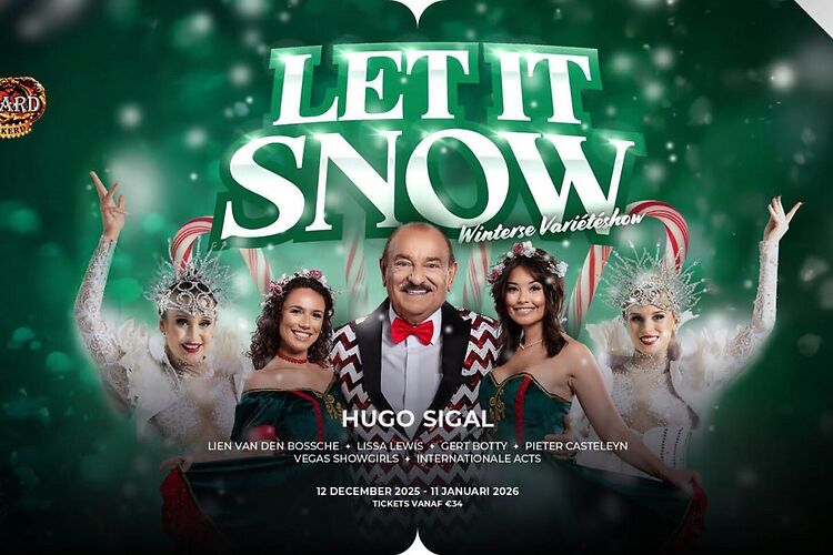 Winter wonderland 2025 - Let it snow