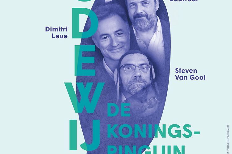 Lodewijk de Koningspinguïn