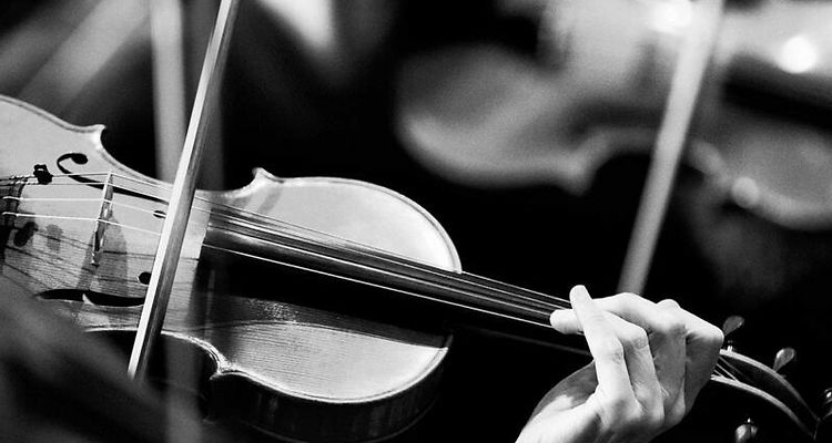 Atelier Anima: Singing Strings