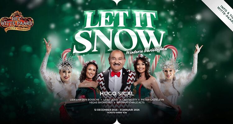 Winter wonderland 2025 - Let it snow